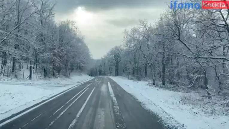 Captura de pantalla 2020-12-05 a las 12.15.41