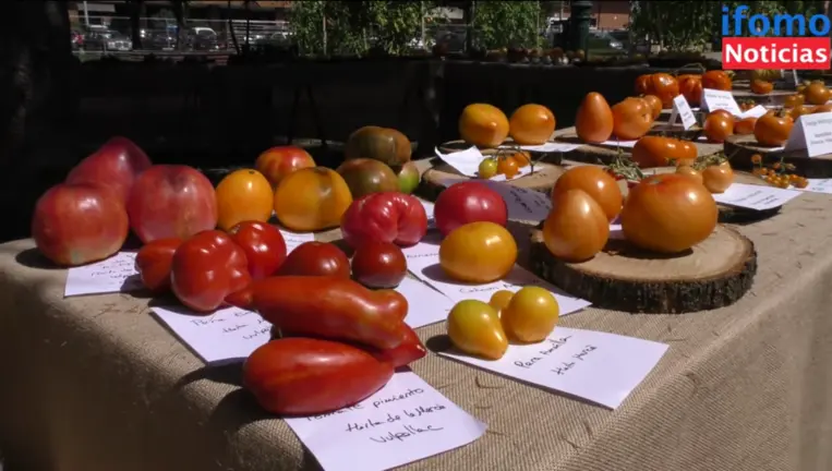 Captura de pantalla 2021-08-29 a las 15.49.29