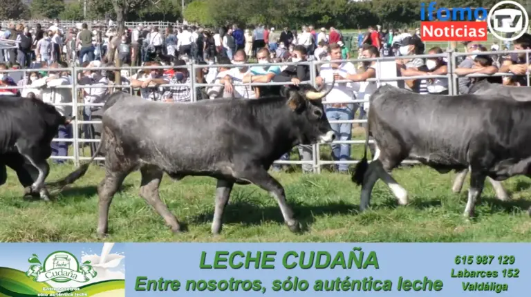 Captura de pantalla 2021-10-12 a las 17.16.22