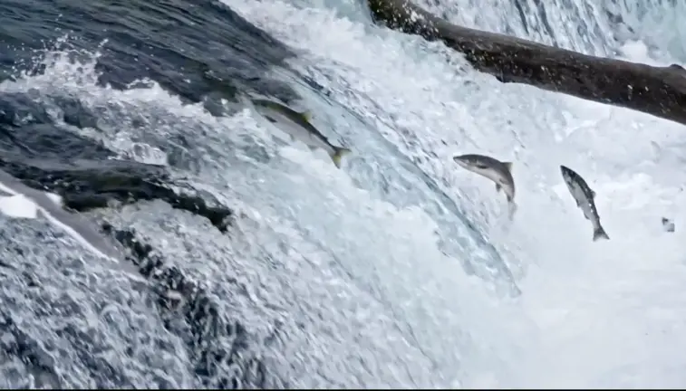 Captura de pantalla 2021-11-09 a las 19.52.03