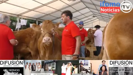 Captura de pantalla 2022-07-16 a las 21.21.05