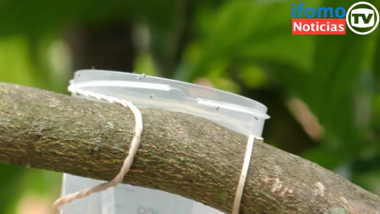 Captura de pantalla 2022-07-20 a las 12.36.52