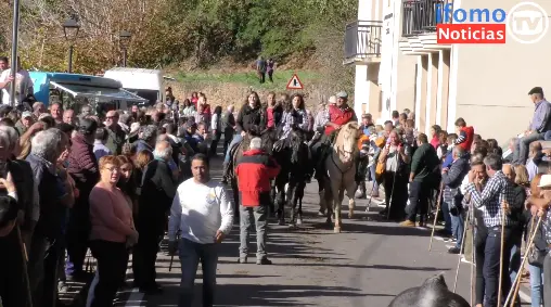 Captura de pantalla 2022-11-06 a las 16.59.56