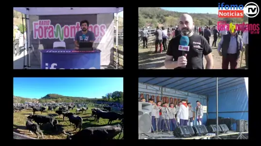 Captura de pantalla 2022-11-11 a las 19.10.23