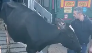 Captura de pantalla 2022-12-05 a las 15.43.34