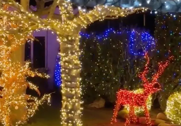 Captura de pantalla 2022-12-11 a las 20.49.05