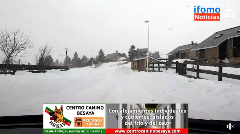 Captura de Pantalla 2023-01-26 a las 14.37.14