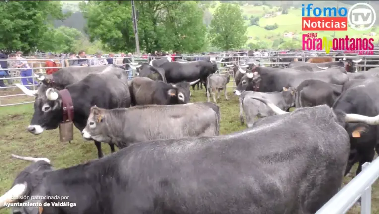 Captura de Pantalla 2023-05-20 a las 13.39.06