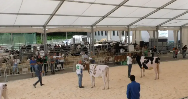 Captura de Pantalla 2023-06-09 a las 12.59.18