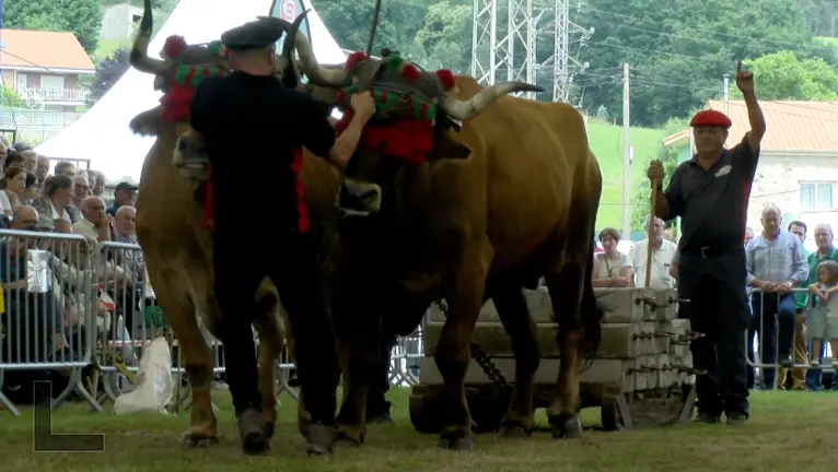 Captura de pantalla 2023-06-18 a las 18.32.06