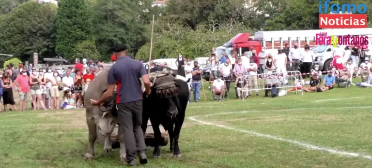 Captura de pantalla 2023-08-19 a las 15.19.27