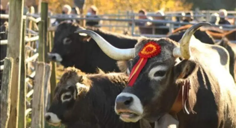 Captura de pantalla 2024-10-11 a las 22.28.59