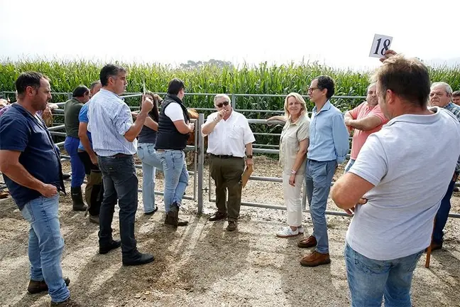 La consejera de Desarrollo Rural, Ganader&iacute;a, Pesca y Alimentaci&oacute;n, Mar&iacute;a Jes&uacute;s Susinos, asiste a la subasta de ganado de razas tudanca y monchina de ejemplares del Gobierno de Cantabria. 

18 sep 25