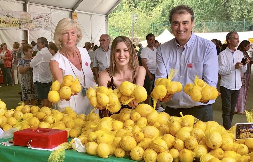Fiesta de los Limones Solidarios en Alfoz de Lloredo