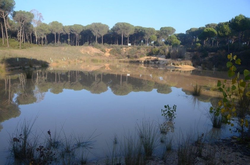 Humedal del Lince, en Doñana, en una imagen de archivo