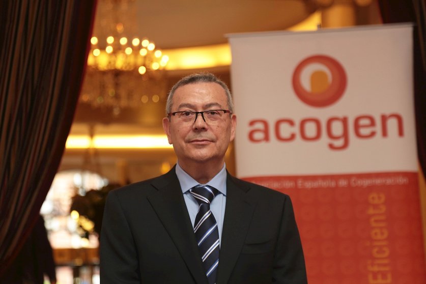 El nuevo presidente de la Asociación Española de Cogeneración (Acogen), Antonio Pérez Palacio.