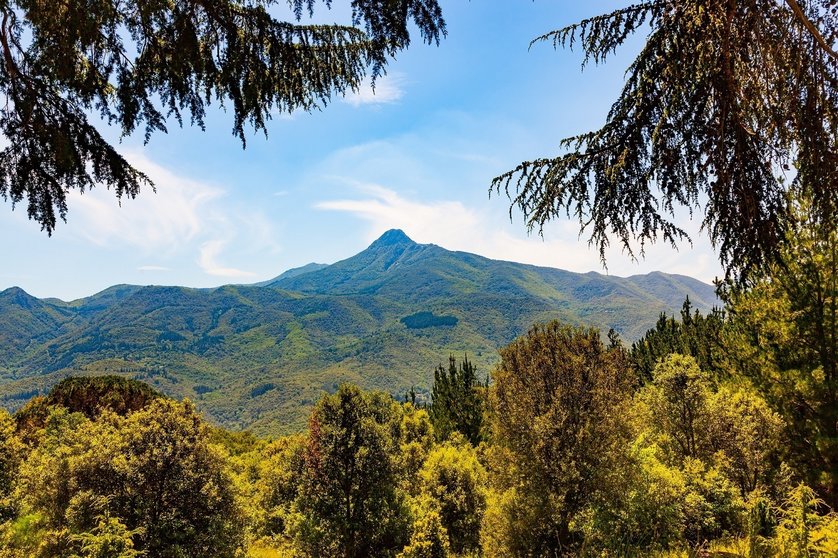 Mountain landscape of Montseny Natural Park, Catalonia, Spain