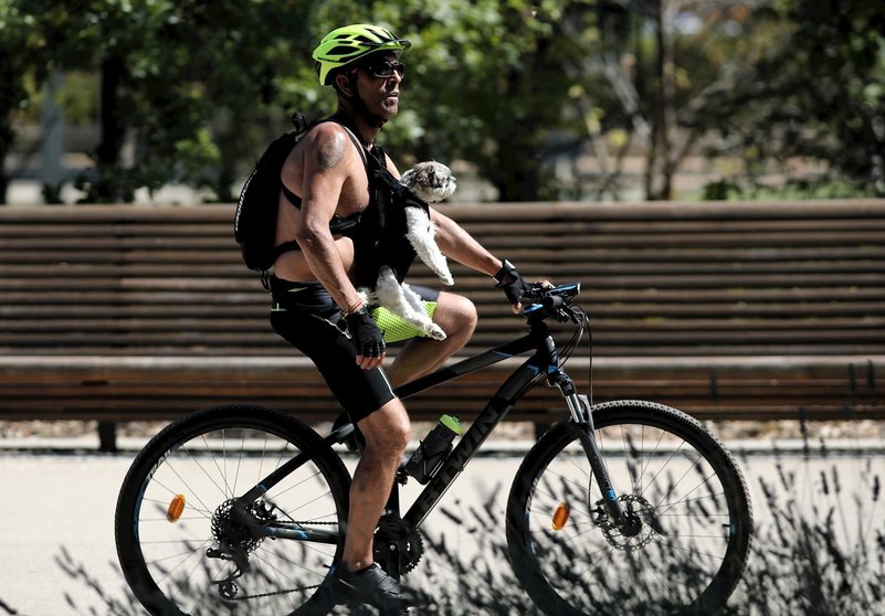 Un hombre pase en bicicleta con su perro en el Parque Madrid Río, a 29 de julio de 2020. Una ola de calor llegará mañana a la Península y Baleares, dejando temperaturas de 40ºC en amplias zonas hasta por lo menos el sábado, según el aviso especial que emi