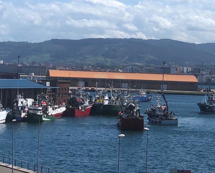Entrada de barcos pesqueros de bocarte en El Musel