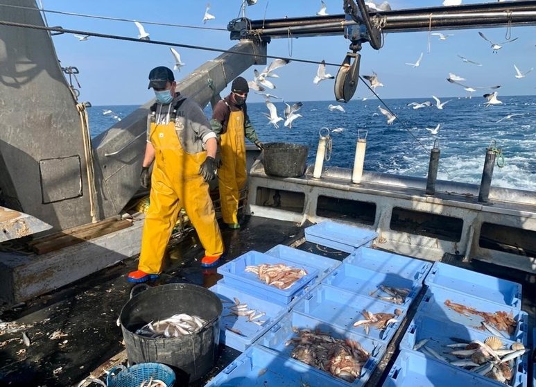 El sector pesquero solicita a los ministros de Pesca de la UE que rechacen la reducción ni en un solo día de la pesca en el Mediterráneo