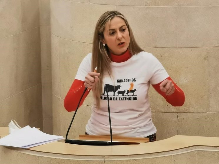 La diputada de Cs en el Parlamento de Cantabria Marta García