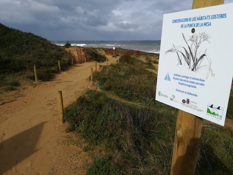 Archivo - Noja asegura la conservación de las dunas colgantes de Punta de la Mesa