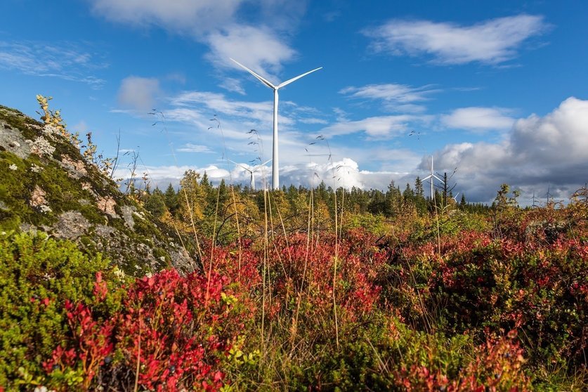 To date, Siemens has installed more than 440 wind turbines with a capacity of 1,091 MW in Sweden. Siemens supplied a total of 123 wind turbines for the wind farms Ögonfägnaden and Björkhöjden with an overall output of 369 MW. Siemens delivered 25 SWT-3.0-113 for Bjoerkhoejden and a capacity of 75 MW.