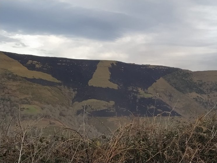 Zona quemada en Cantabria