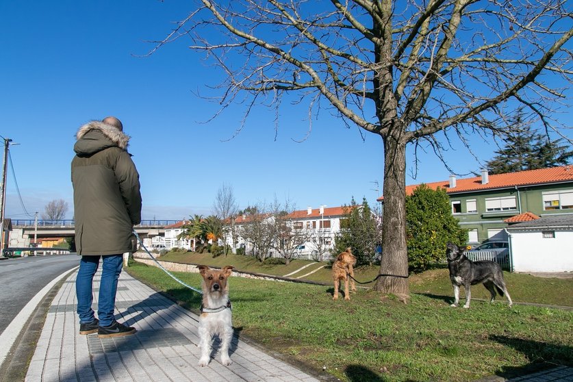 Archivo - Un vecino pasea con su perro