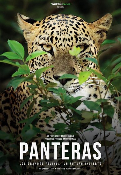 Cartel de 'Panteras'