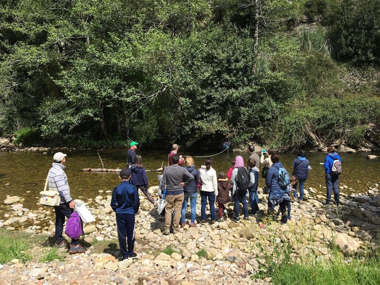 Red Cambera busca personas voluntarias para conocer el estado de los ríos de Cantabria