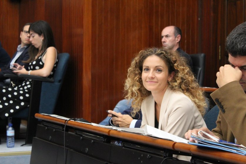 La portavoz adjunta del PSOE en el Ayuntamiento de Santander, Ainoa Quiñones