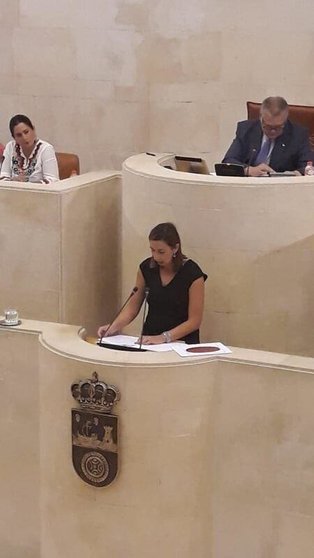 La consejera de Economía de Cantabria, María Sánchez, interviene en el Pleno del Parlamento