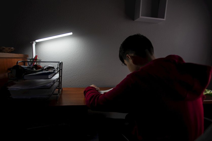 Un niño hace deberes en su casa de Vitoria el pasado mes de abril durante el confinamiento.