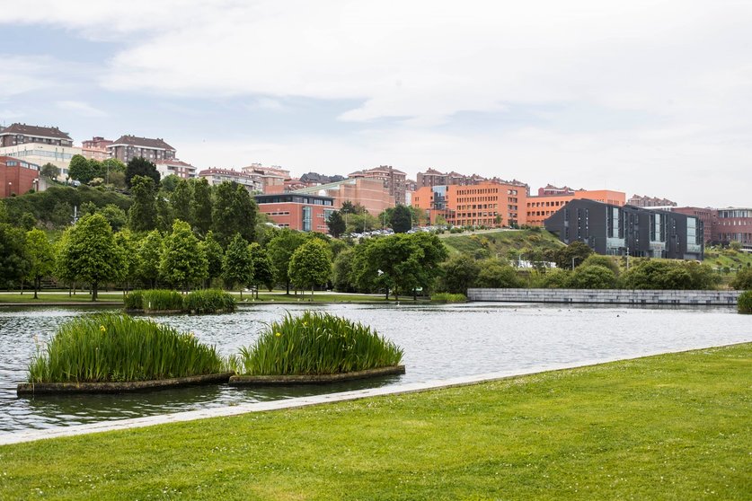 DAVID S. BUSTAMANTE 11/05/2018 SANTANDER/ CANTABRIA Campus universitario de la Universidad de Cantabria UC desde el parque de Las Llamas