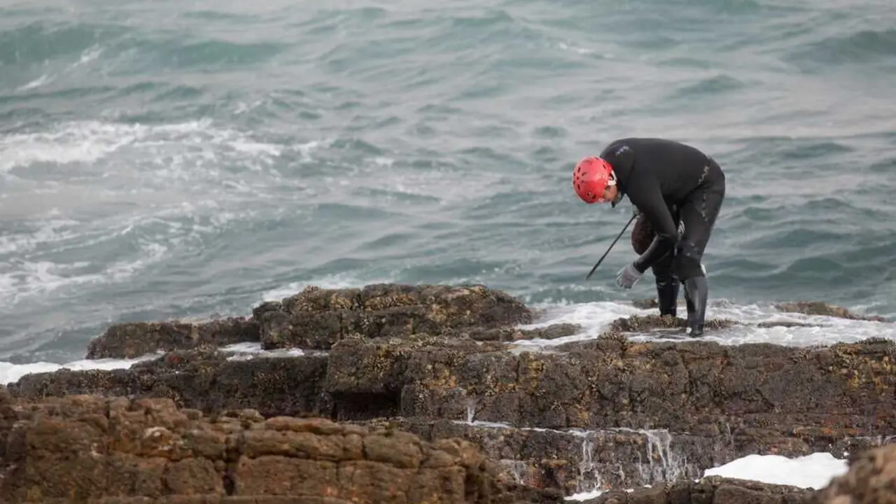 Rinlo, Ribadeo, Lugo. Un grupo de cuatro percebeiras (Cot&eacute; Fdez. del R&iacute;o, Luz Mar&iacute;a Mart&iacute;nez, Conchita Losada y Ver&oacute;nica Ra&ntilde;&oacute;n) y un percebeiro (Lucas Mat&iacute;as) pertenecientes a la Cofrad&iacute;a de mariscadores de Ribadeo, recogen percebes en una zona conocida como As Pudias. El percebe es el marisco m&aacute;s apreciado y cotizado en estos d&iacute;as de Navidad, y el precio por el grande supera con creces los 150&euro; por kilo. En la imagen, instante en la recogida de percebes en As Pudias en la ma&ntilde;ana del mi&eacute;rcoles 21 de diciembre