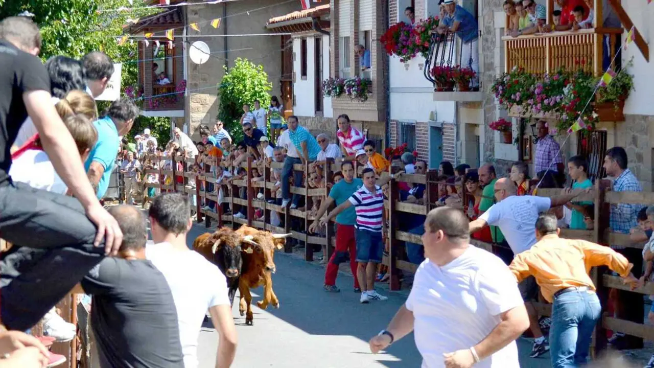 Industria. Encierro Pie de Concha. 23 AGOSTO 2018 &copy; Gabinete de Comunicaci&oacute;n