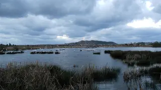 Marismas de Alday. Archivo