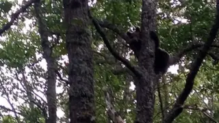 Captura de pantalla 2023-09-07 a las 9.14.35