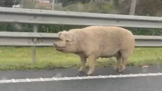 Captura de pantalla 2025-01-30 a las 14.29.04