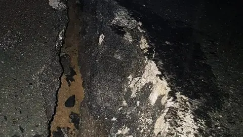 66493296_2492319487472715_7006825022677319680_n