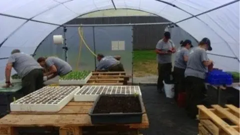Pr&aacute;cticas de los alumnos del taller de empleo en viveros y jardines