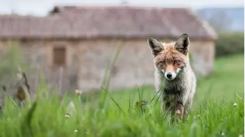 Foto ganadora de la anterior edici&oacute; del concurso de fotograf&iacute;a de Valderredible