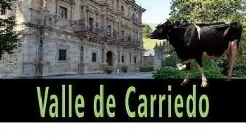 Cartel del XXV Concurso-Exposici&oacute;n Comarcal de Ganado Vacuno Fri&oacute;n Valle de Carriedoc