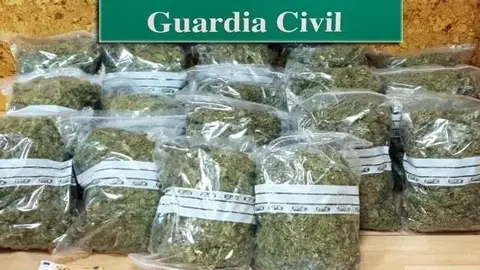 Marihuana intervenida en Adal Treto (B&aacute;rcena de Cicero)