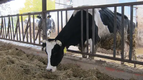 Uni&oacute;n de Uniones critica el impago de la multa de 80 millones de euros de 16 industrias l&aacute;cteas