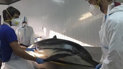 fotonoticia_20190720191651_640