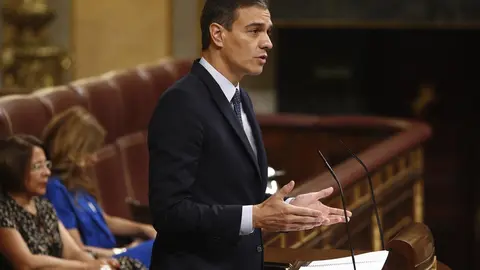El candidato socialista a la Presidencia del Gobierno, Pedro S&aacute;nchez, interviene durante la segunda jornada de la sesi&oacute;n de investidura.