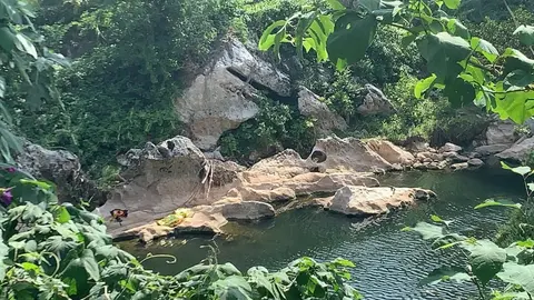 67207652_425058544886992_2792745051921317888_n