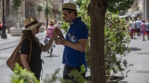 Pareja de turistas toman un helado bajo la sombra de un &aacute;rbol en la Avendia de la Constituci&oacute;n de Sevilla